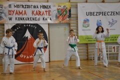 Mistrzostwa-Pionek-Oyama-Karate-w-konkurencji-kata-6052013_792193