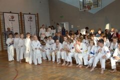 Mistrzostwa-Pionek-Oyama-Karate-w-konkurencji-kata-6052013_792306