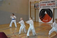 Mistrzostwa-Pionek-Oyama-Karate-w-konkurencji-kata-6052013_795444