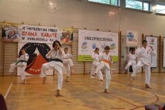 Mistrzostwa-Pionek-Oyama-Karate-w-konkurencji-kata-6052013_797796