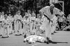 fot-Aleksandra-Modrzejewska_631855