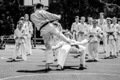 fot-Aleksandra-Modrzejewska_632548