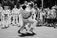 fot-Aleksandra-Modrzejewska_633407