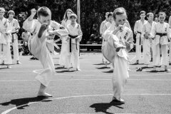 fot-Aleksandra-Modrzejewska_634465