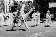 fot-Aleksandra-Modrzejewska_635993