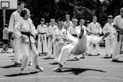 fot-Aleksandra-Modrzejewska_638265