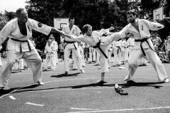 fot-Aleksandra-Modrzejewska_639922