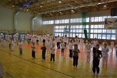 10636612_808756299234415_5335515798461962315_o