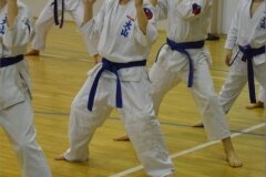 12471448_808758062567572_6036314373896291537_o