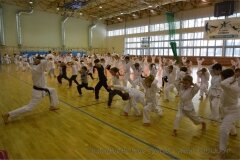 12471644_808756932567685_3672345664524748518_o