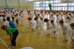 12485973_808756685901043_8087512832935573574_o