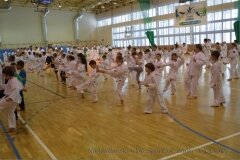 12487311_808759095900802_333469056128869004_o