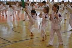 12489185_808759059234139_2561672657089623497_o