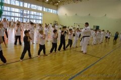 12489265_808757535900958_5820994622681866653_o