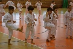 12489385_808759339234111_6248362069178540698_o