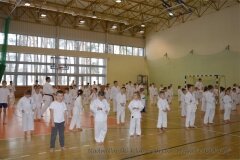 12493507_808756179234427_4650704722715981082_o