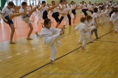 12493548_808758925900819_2802762787749062370_o