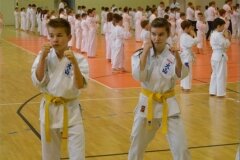 12493749_808757862567592_5380506981691105222_o