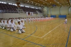 12513808_808755979234447_3415322386309177391_o