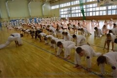 12604696_808757129234332_1112711454057717164_o