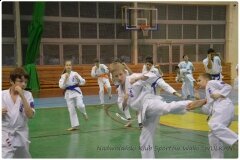 Egzamin-na-stopnie-szkoleniowe-kyu-25-stycznia-2014-_861022