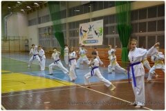 Egzamin-na-stopnie-szkoleniowe-kyu-25-stycznia-2014-_861294