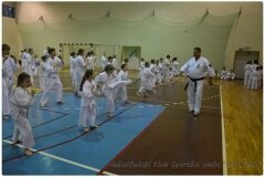 Egzamin-na-stopnie-szkoleniowe-kyu-25-stycznia-2014-_861491