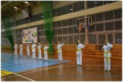 Egzamin-na-stopnie-szkoleniowe-kyu-25-stycznia-2014-_861746