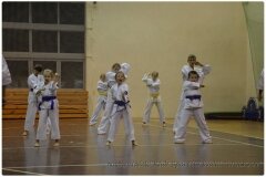 Egzamin-na-stopnie-szkoleniowe-kyu-25-stycznia-2014-_862617