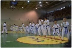 Egzamin-na-stopnie-szkoleniowe-kyu-25-stycznia-2014-_862837