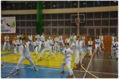 Egzamin-na-stopnie-szkoleniowe-kyu-25-stycznia-2014-_863749