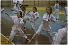 Egzamin-na-stopnie-szkoleniowe-kyu-25-stycznia-2014-_864530