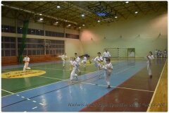 Egzamin-na-stopnie-szkoleniowe-kyu-25-stycznia-2014-_864650