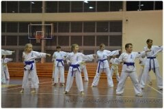 Egzamin-na-stopnie-szkoleniowe-kyu-25-stycznia-2014-_864919