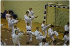 Egzamin-na-stopnie-szkoleniowe-kyu-25-stycznia-2014-_864928