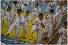 Egzamin-na-stopnie-szkoleniowe-kyu-25-stycznia-2014-_865040