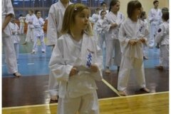 Egzamin-na-stopnie-szkoleniowe-kyu-25-stycznia-2014-_865558