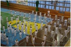 Egzamin-na-stopnie-szkoleniowe-kyu-25-stycznia-2014-_867103