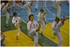 Egzamin-na-stopnie-szkoleniowe-kyu-25-stycznia-2014-_867330