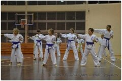 Egzamin-na-stopnie-szkoleniowe-kyu-25-stycznia-2014-_867366