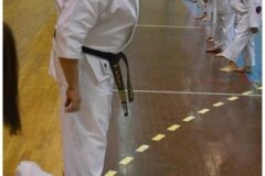 Egzamin-na-stopnie-szkoleniowe-kyu-25-stycznia-2014-_867483