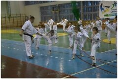 Egzamin-na-stopnie-szkoleniowe-kyu-25-stycznia-2014-_867510