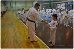 Egzamin-na-stopnie-szkoleniowe-kyu-25-stycznia-2014-_867718