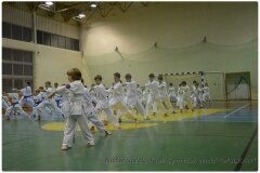 Egzamin-na-stopnie-szkoleniowe-kyu-25-stycznia-2014-_86782