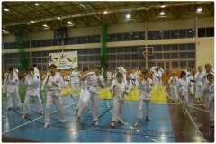 Egzamin-na-stopnie-szkoleniowe-kyu-25-stycznia-2014-_868370