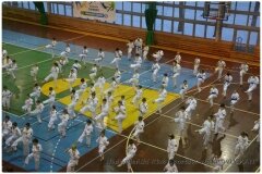 Egzamin-na-stopnie-szkoleniowe-kyu-25-stycznia-2014-_868603