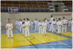 Egzamin-na-stopnie-szkoleniowe-kyu-25-stycznia-2014-_868696