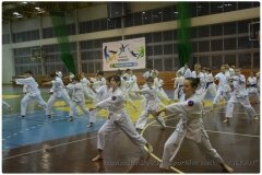 Egzamin-na-stopnie-szkoleniowe-kyu-25-stycznia-2014-_868865