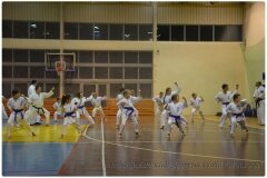 Egzamin-na-stopnie-szkoleniowe-kyu-25-stycznia-2014-_868871