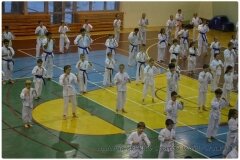 Egzamin-na-stopnie-szkoleniowe-kyu-25-stycznia-2014-_869379